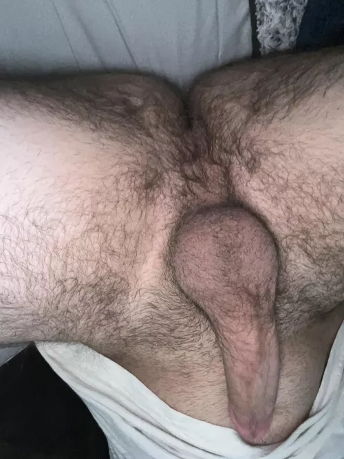 A tight hairy hole or a big dick which will you lick first?☺️