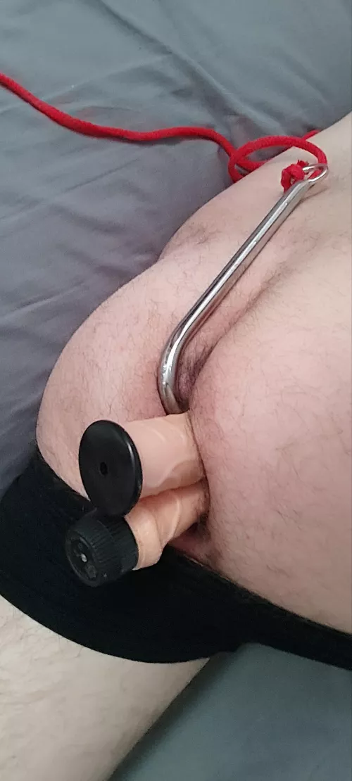 Anal hook and 2 dildos in my ass