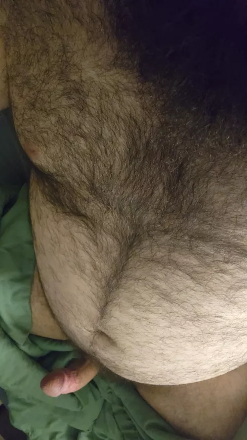 anyone need a big bear to keep them warm?