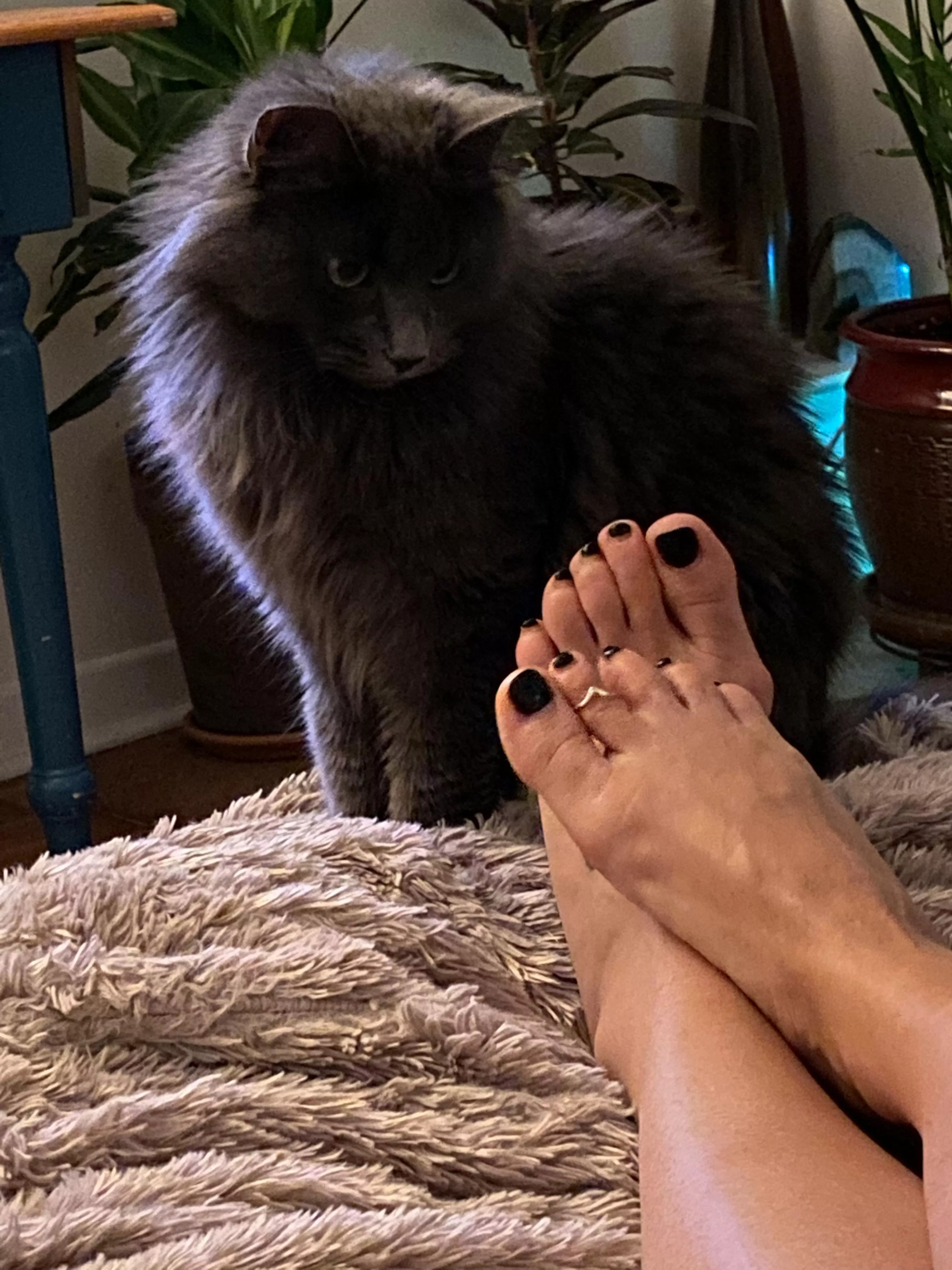 At least someone wants to play