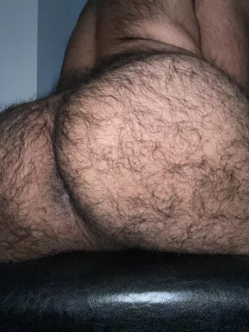 Can you give it some attention?