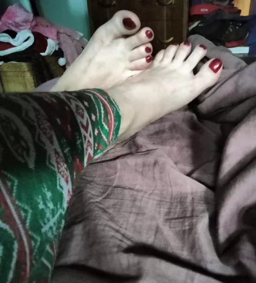 Christmas toes!