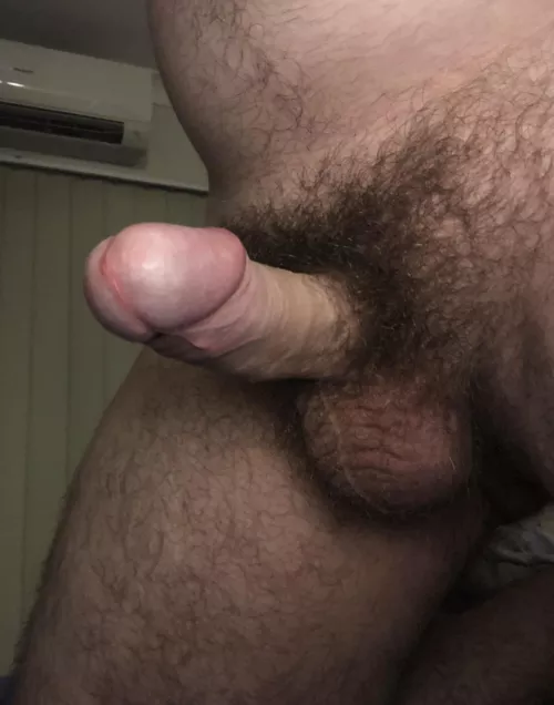 Come get a load of this. Literally.