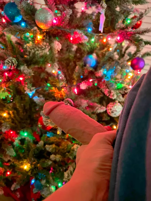 Feeling festive 🎄