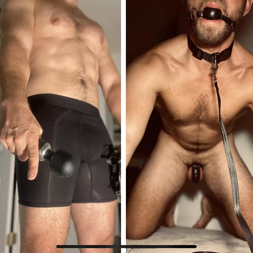 From telling her to “sit” for her edging, to on all fours like a good boy; the life of a dominant switch. Which me would you prefer?