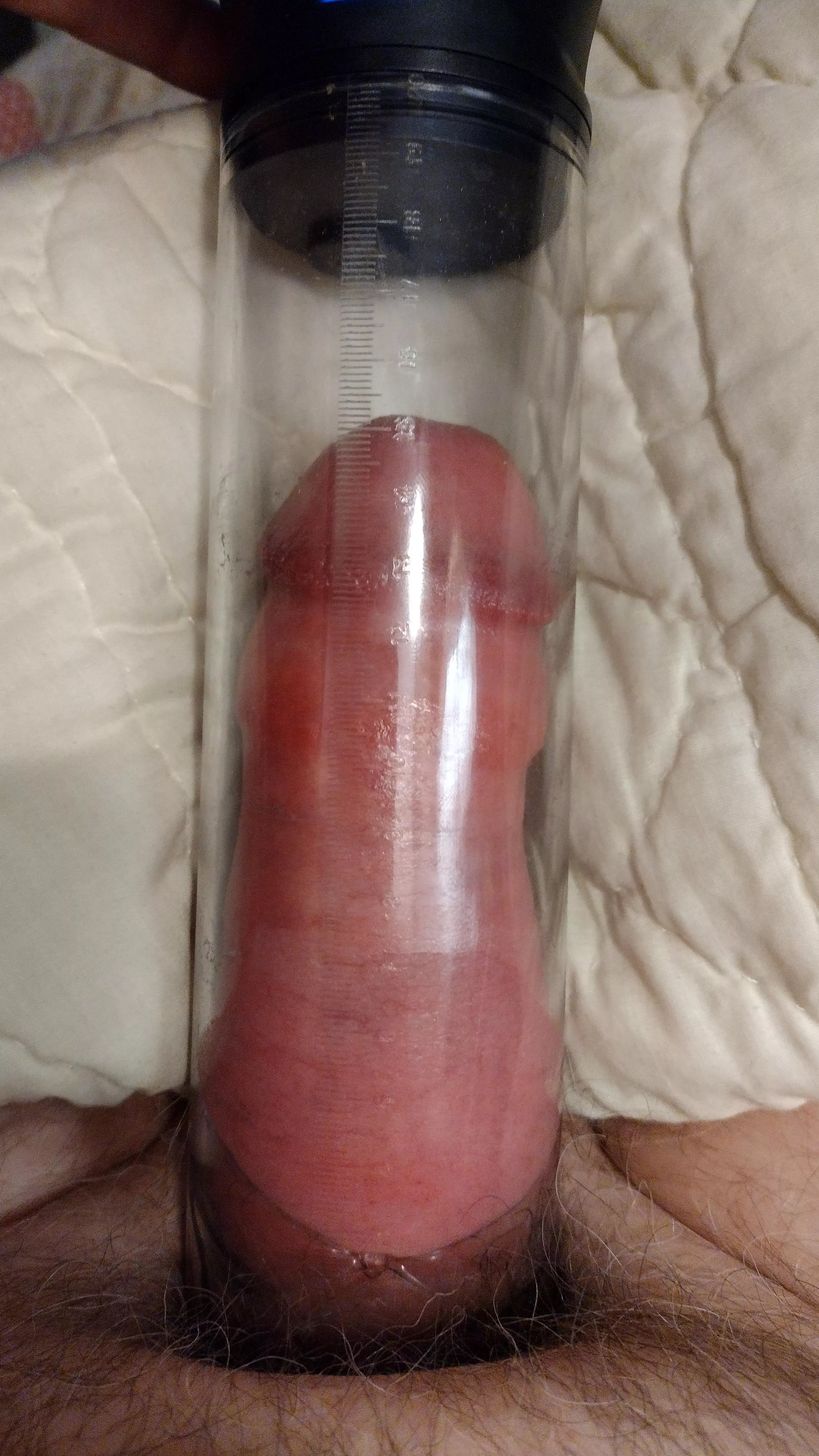 girth on the bottom.