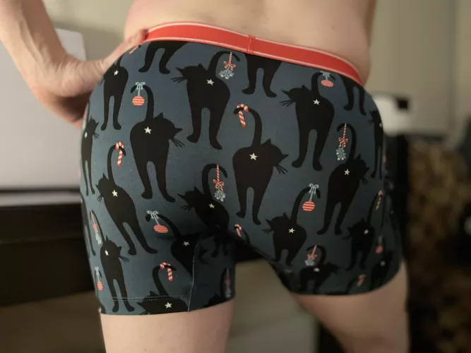 Gotta be festive every once in awhile! 🐈🎄😜