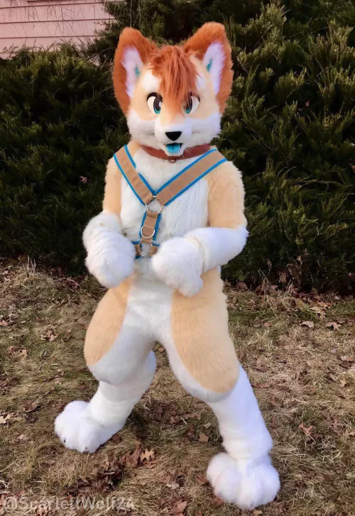 Happy Fursuit Friday!