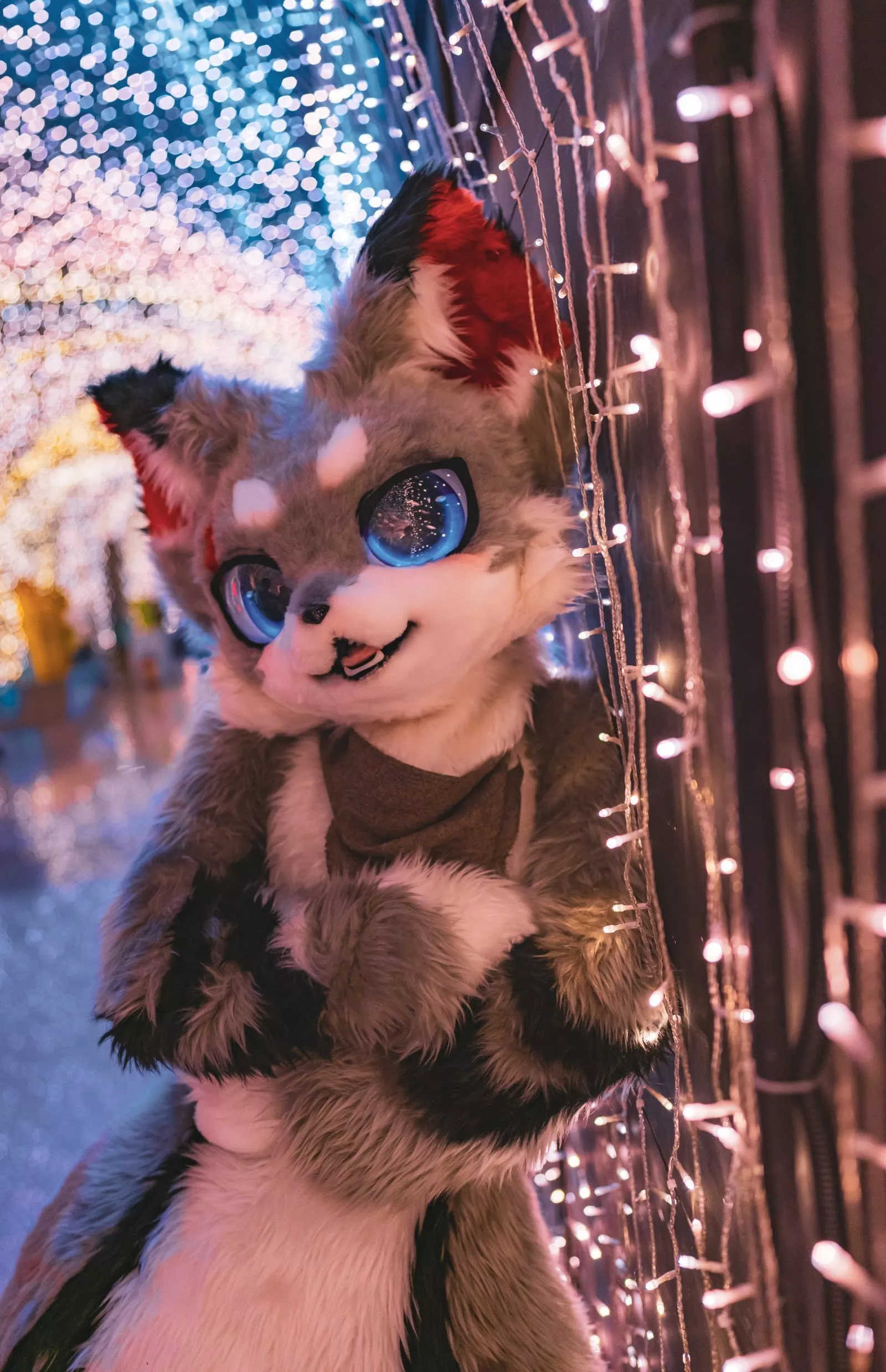 Have a very furry Xmas! (@HuahuaYeyeyeye on Twitter)