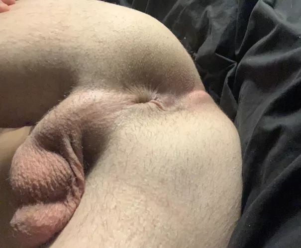 I need bred. Full stop.