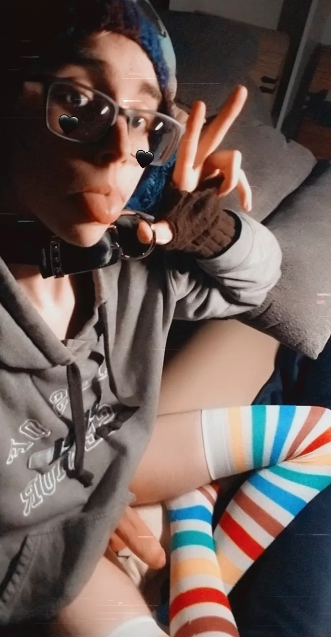 I'm a good pet, already collared for you~