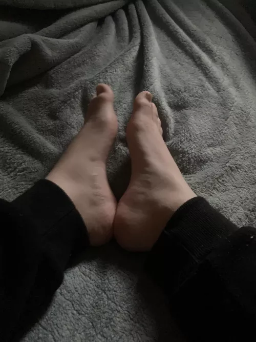 Just took a pic of them. Do you like them