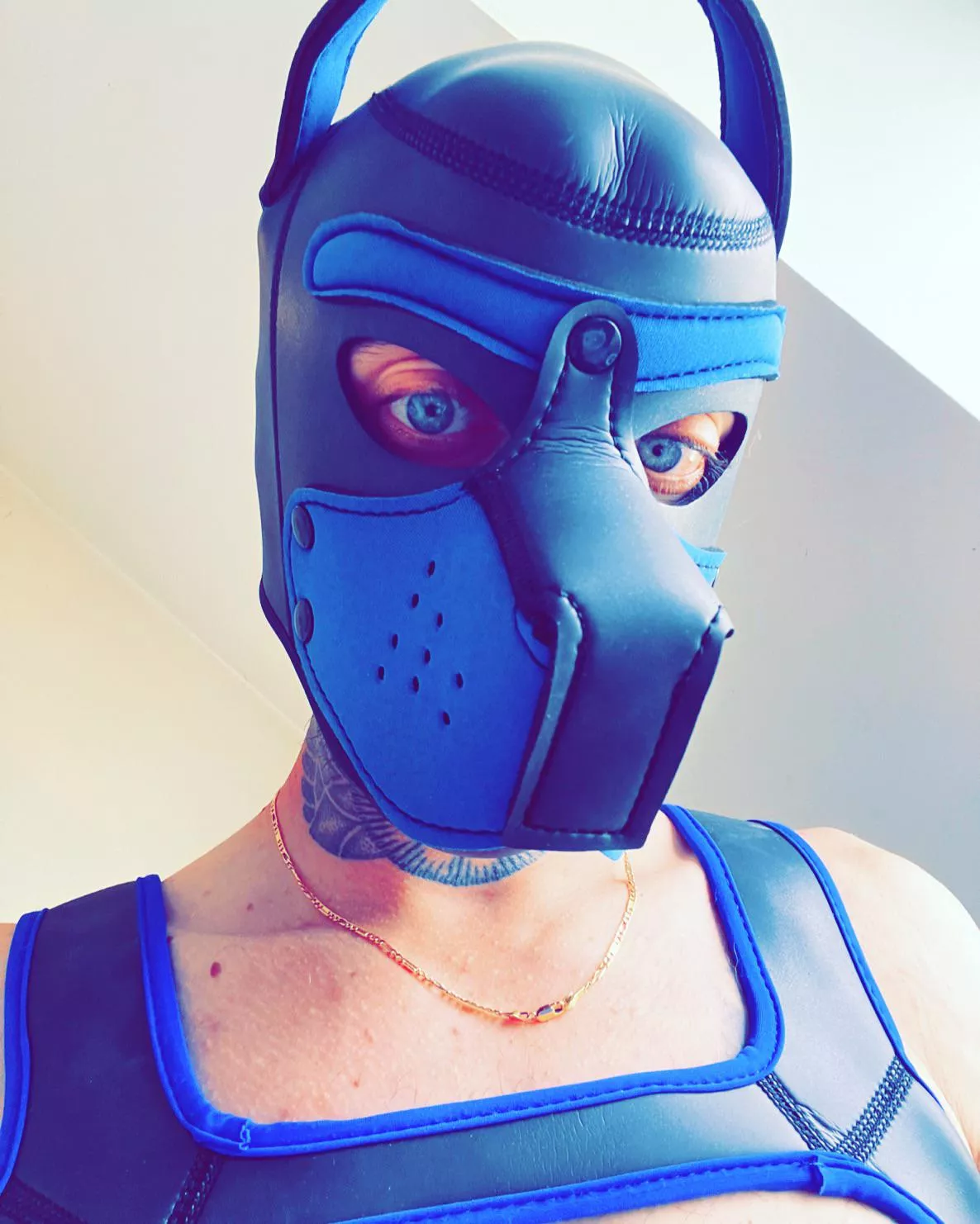 Let’s make some pup friends 🐶