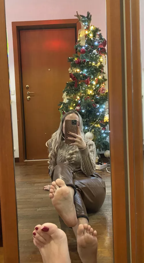 Merry Christmas Eve 🎄 what would you like under the Christmas tree?