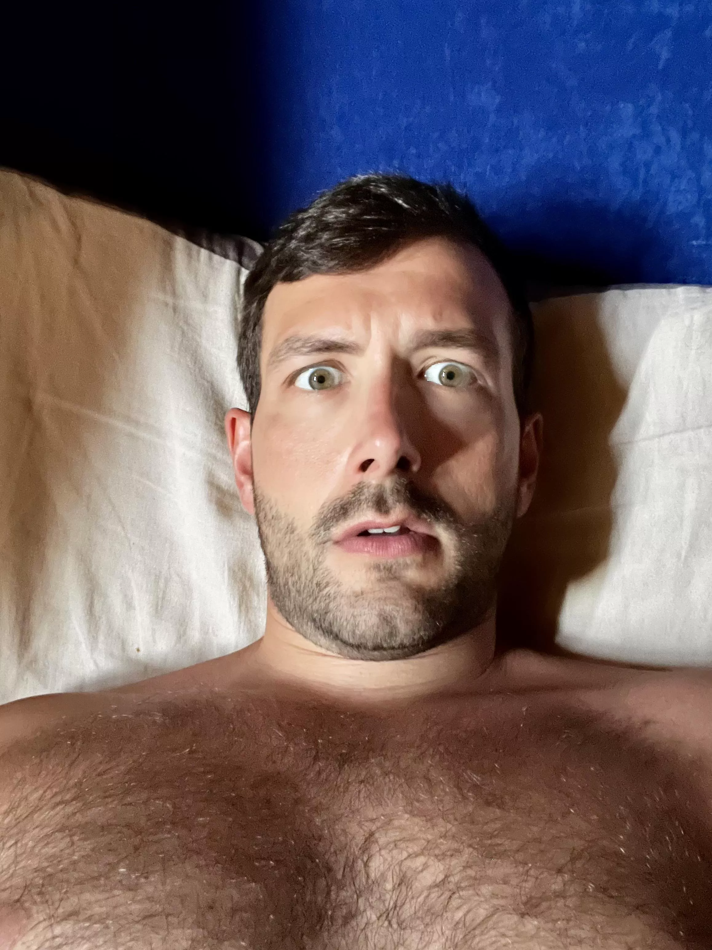 OMG It’s Christmas