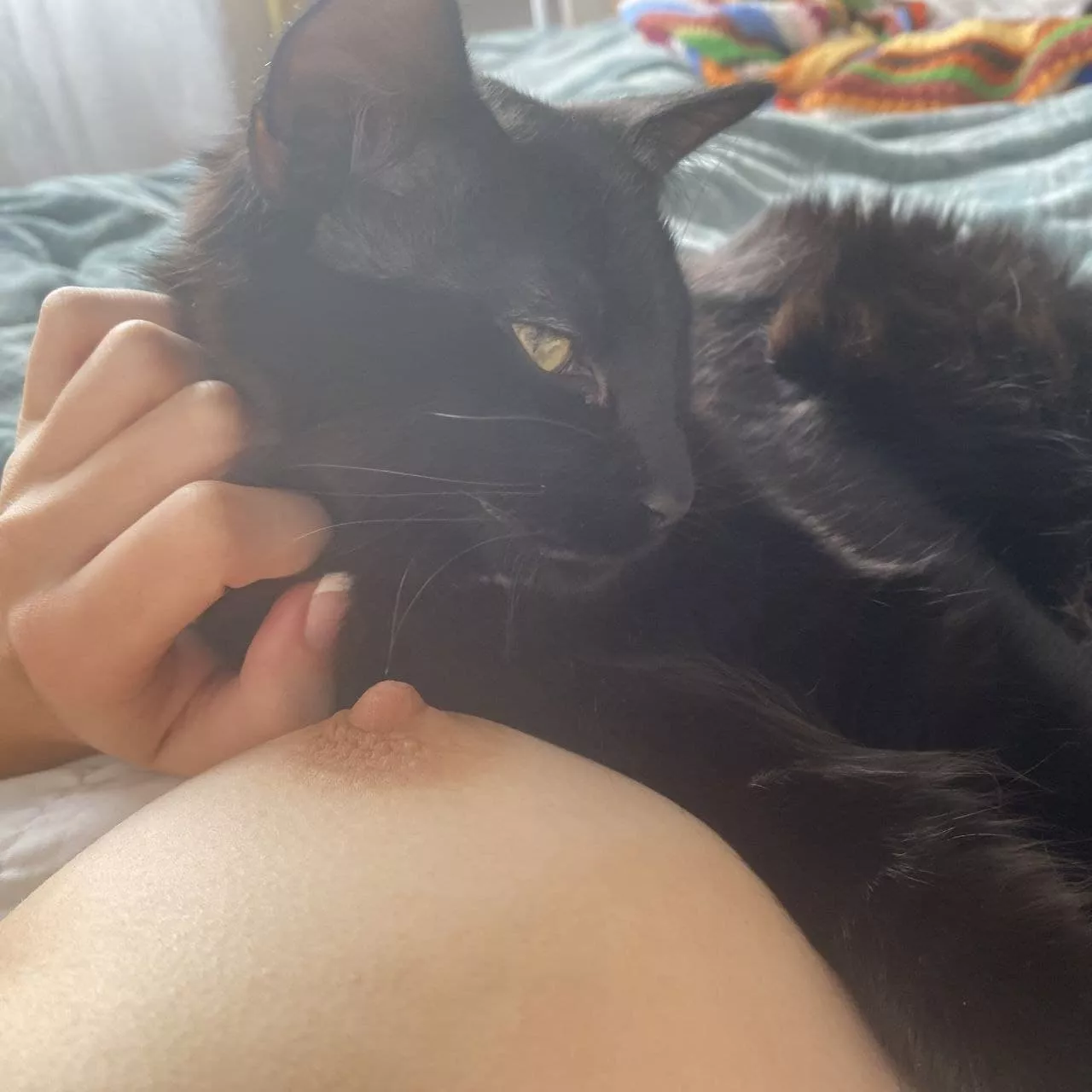 React if your cock is bigger than 3 inches and you would put it in my ass 🥵[direct text me.. hi] snap: aqueen5t