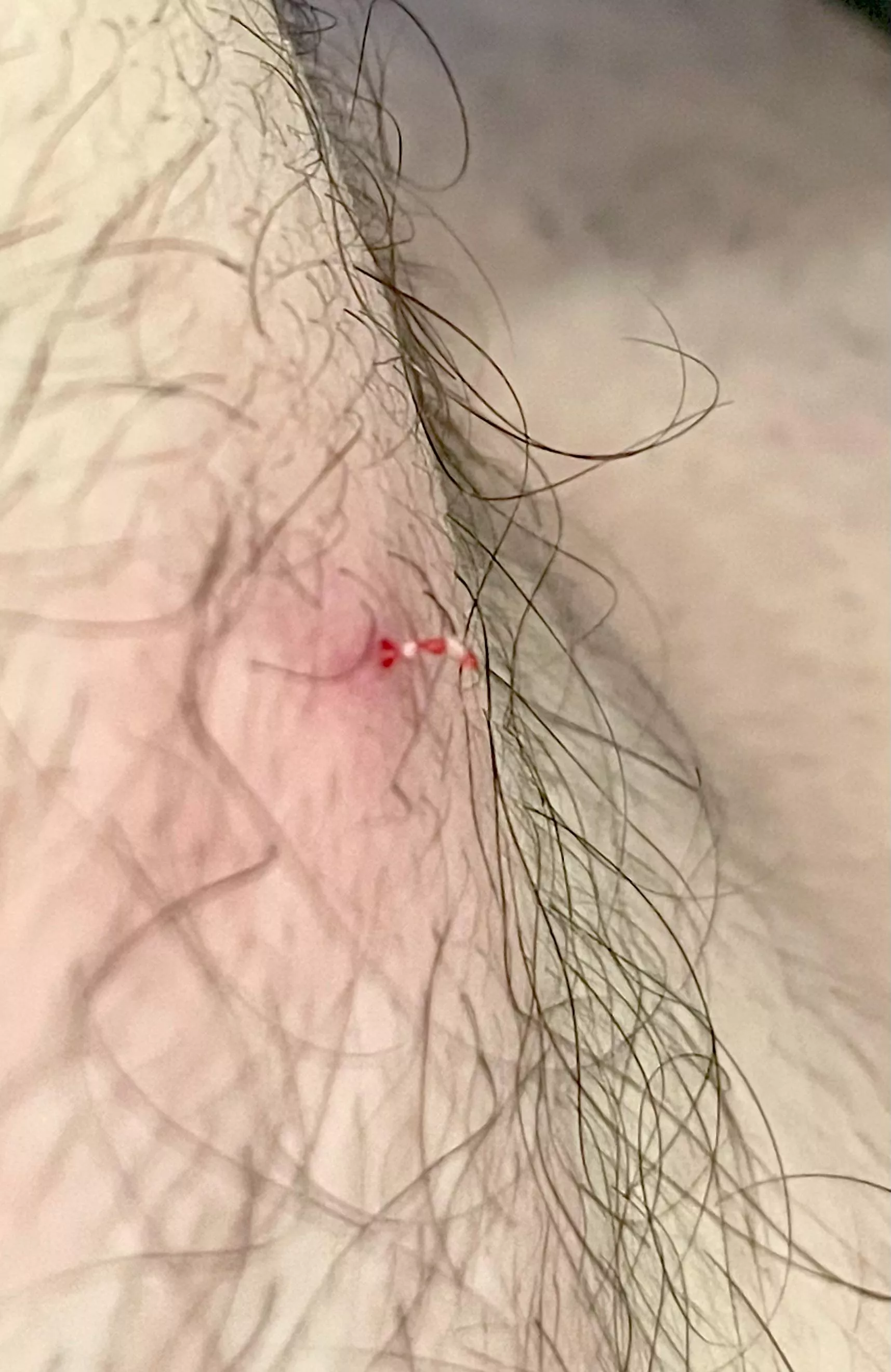 Right on time for Christmas!