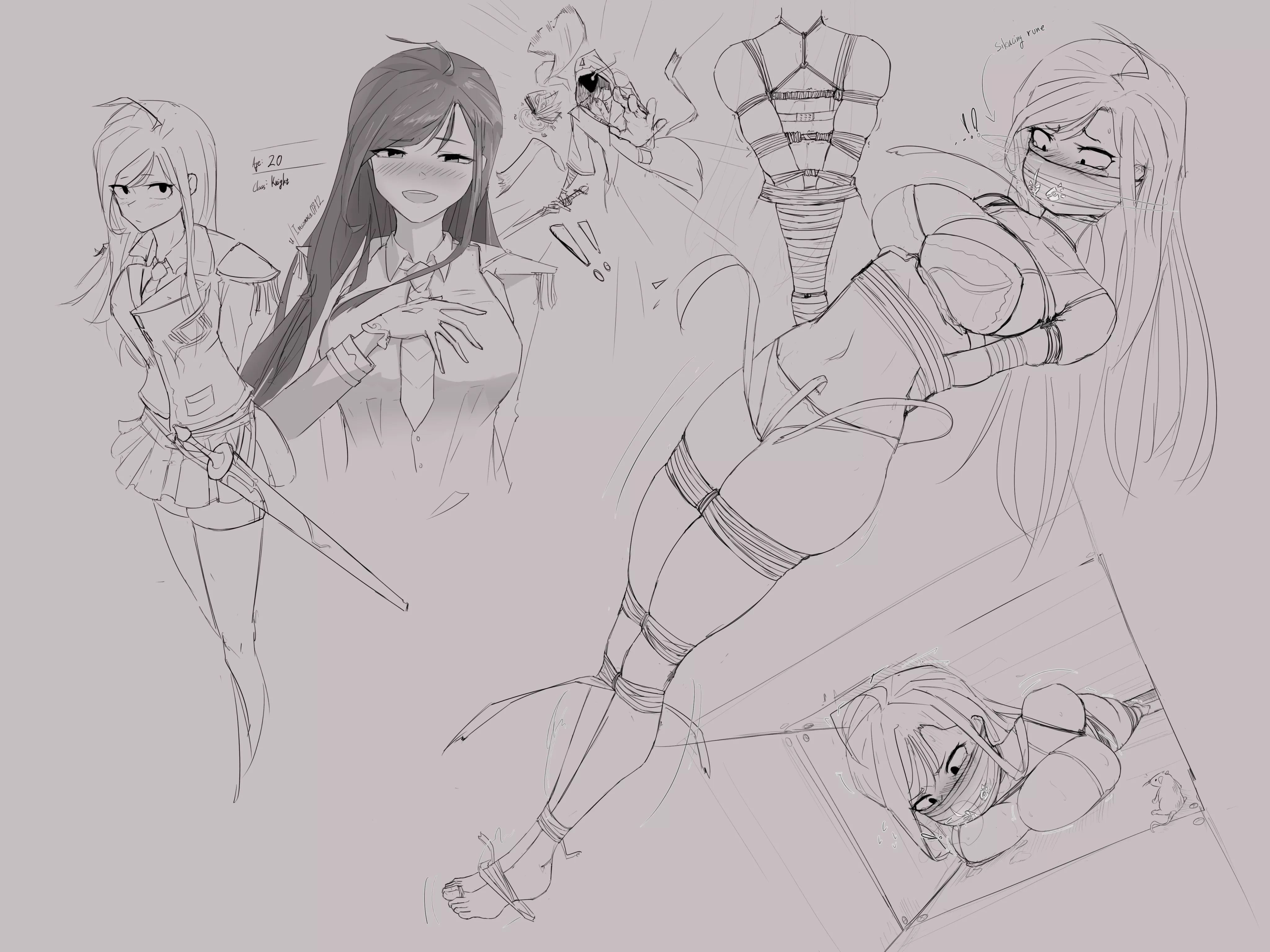 royal swordswomen --> pet in box