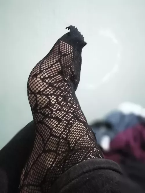 stick your face on my web