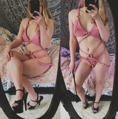 'Tis the season!Season! 🎄Now get down on your knees and beg.