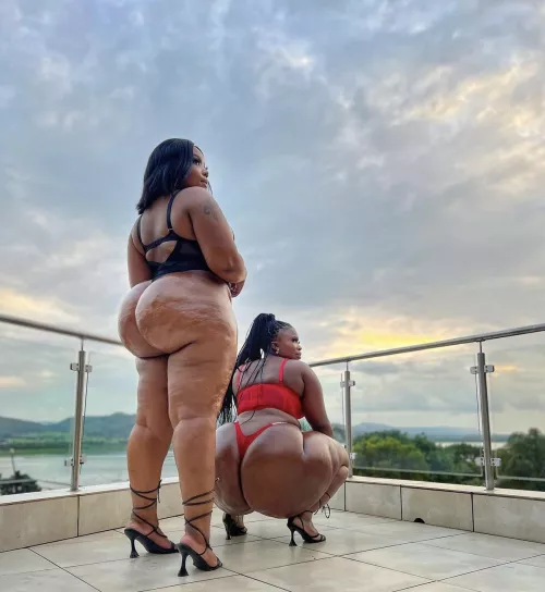 top or bottom? i think bottom got it she thick for days 🤣