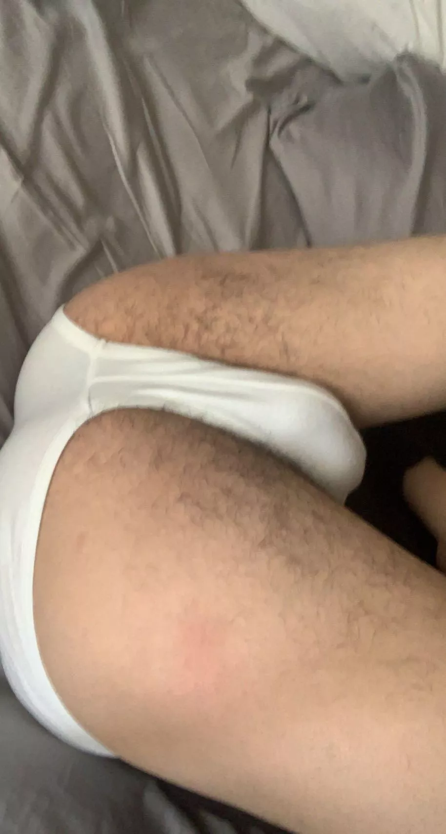 Was thinking about shaving it, then thinking it might be a bad idea