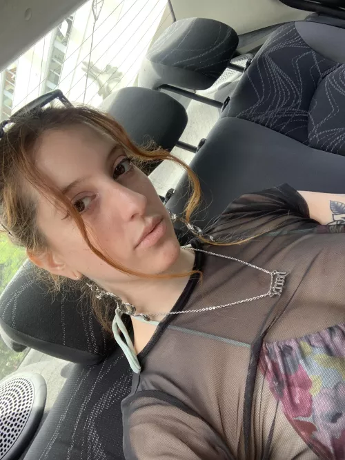 What are your plans for Christmas?