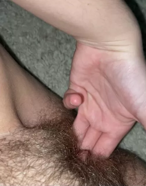 What would you like to see next?