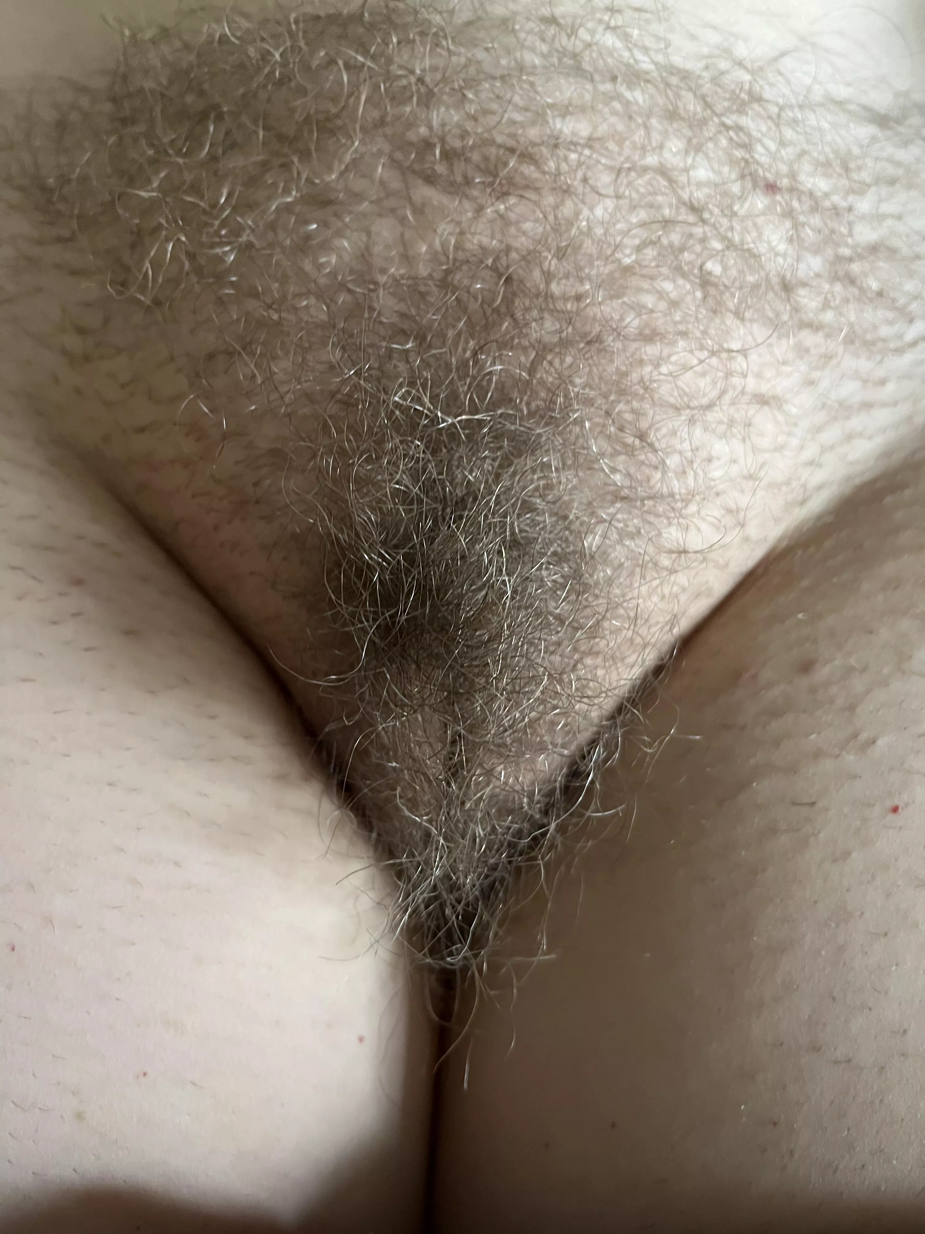 Who wants to put a big load on my hairy triangle