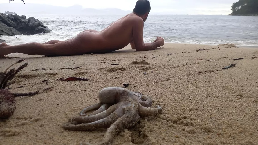 winter beaching and an octopus