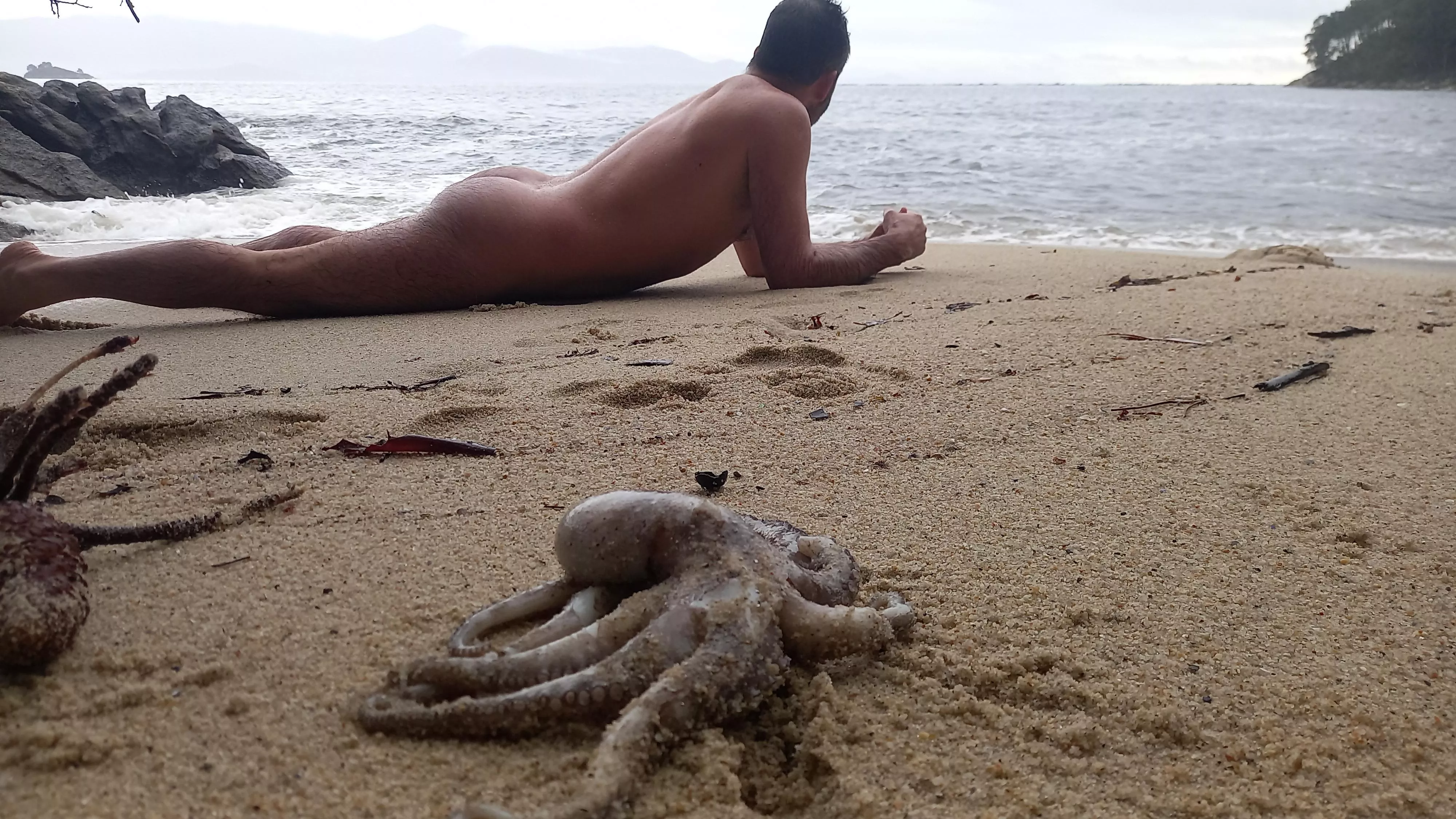 winter beaching and an octopus