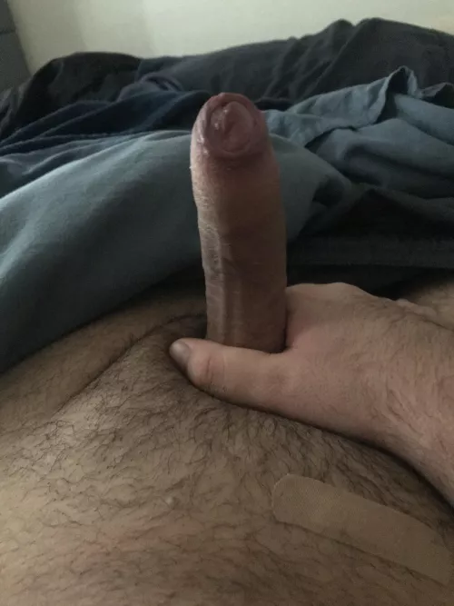 Woke Up Horny and Hard (19 US)