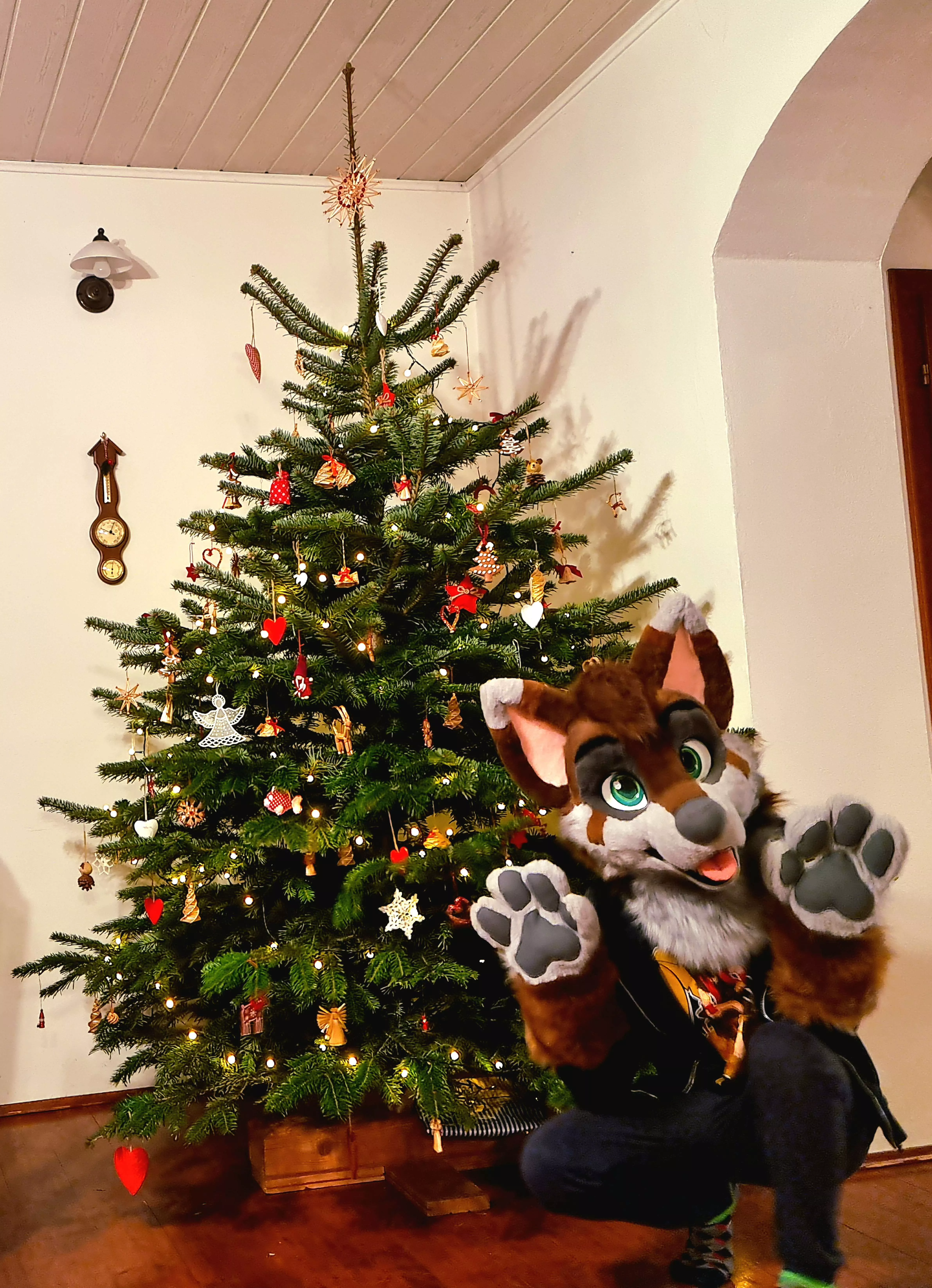 Wolf and his Christmas tree