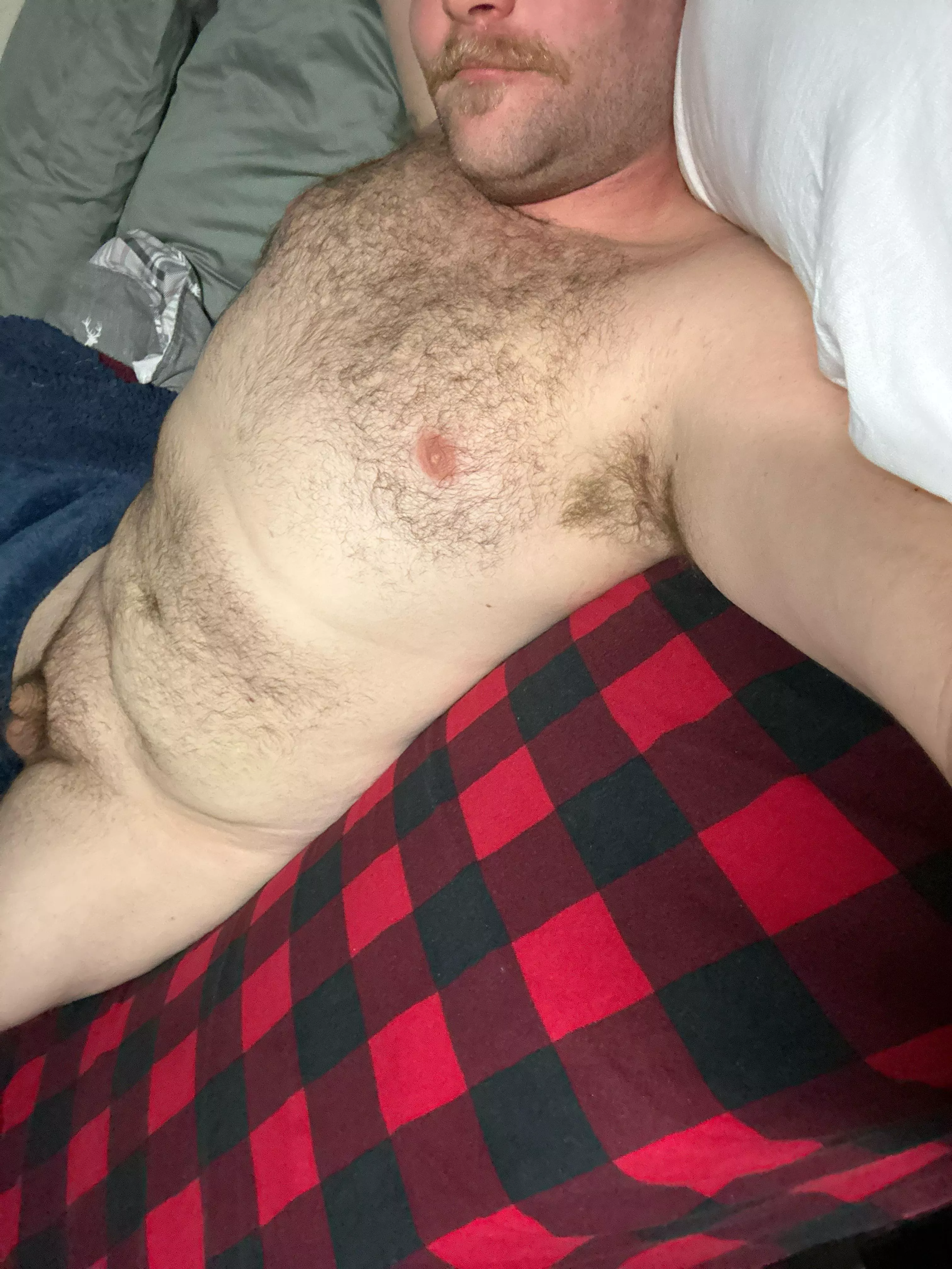 [28] anyone up for Christmas cuddles hit me up mascmountainguy