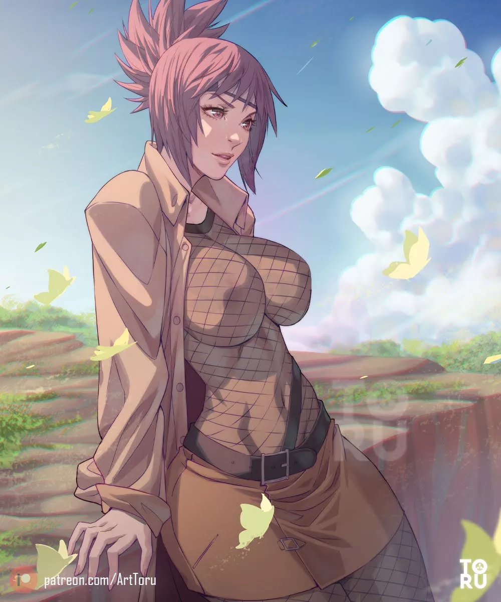anko (arttoru)