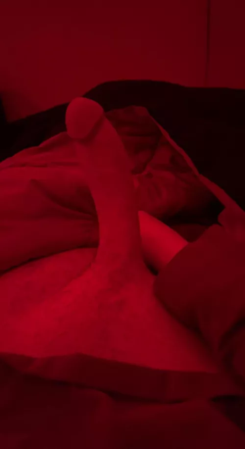 anyone need a toppp?