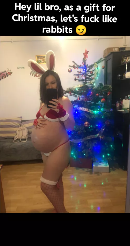 [B/S] 🎄🐰😏