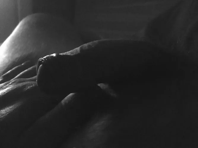 calm atmosphere of Christmas day