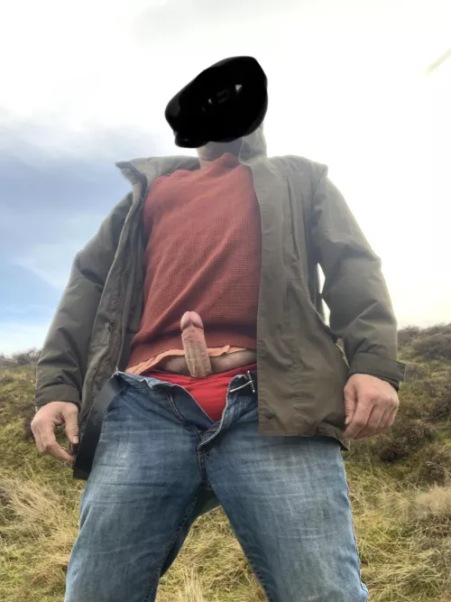 Christmas Day dog walk, very cold