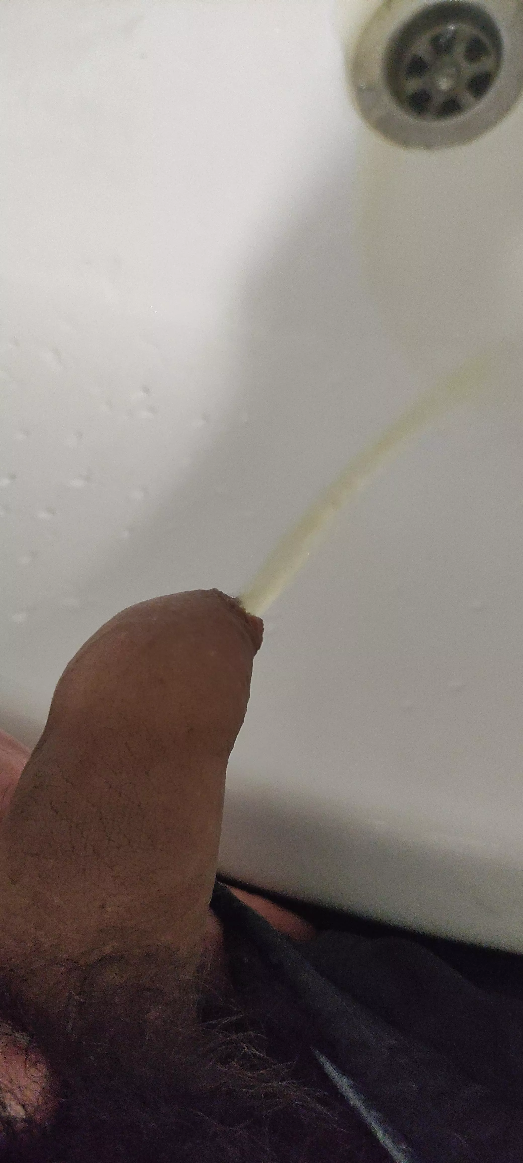 DM me your pissing cocks🙏