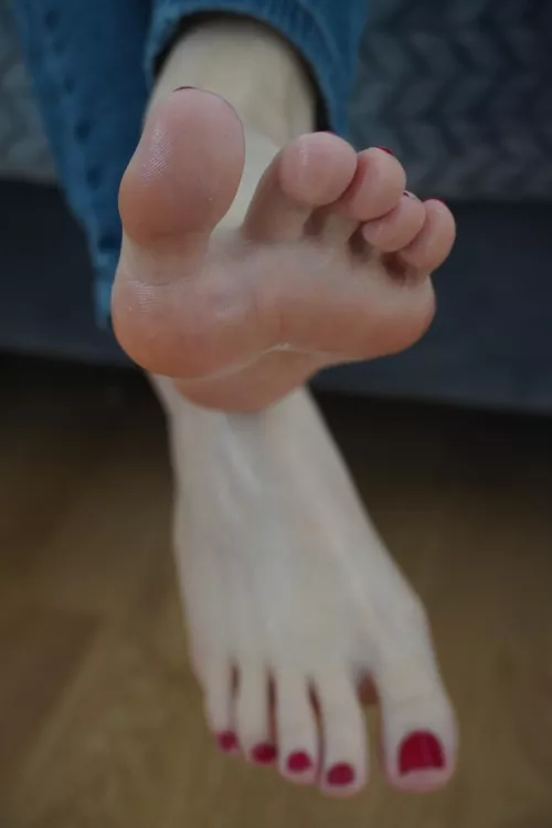 do they look tasty to you?