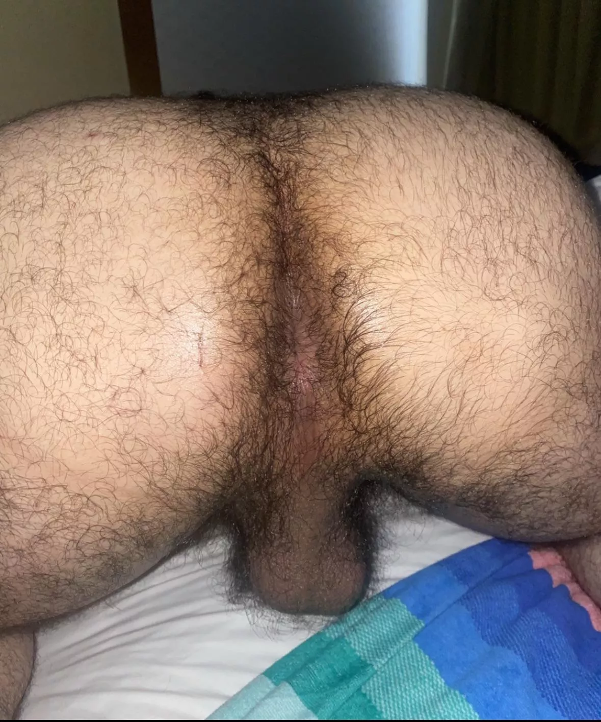Feliz Navidad! 25, into hairy hole? SC: q552498
