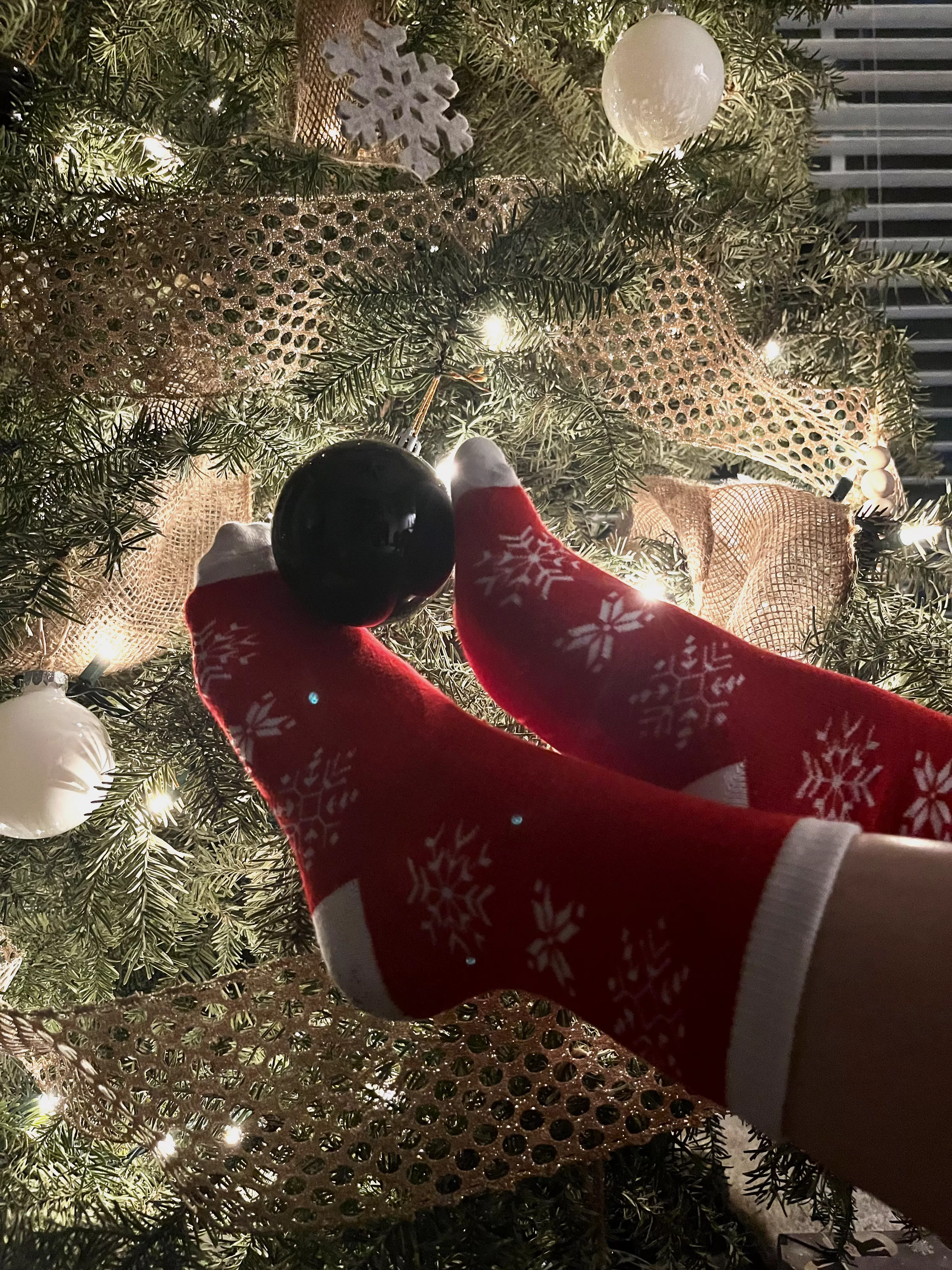 Gentle with the balls [F]