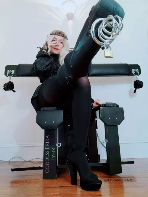 Happy Holidays, here's your gift. I'm sure it'll fit perfectly...