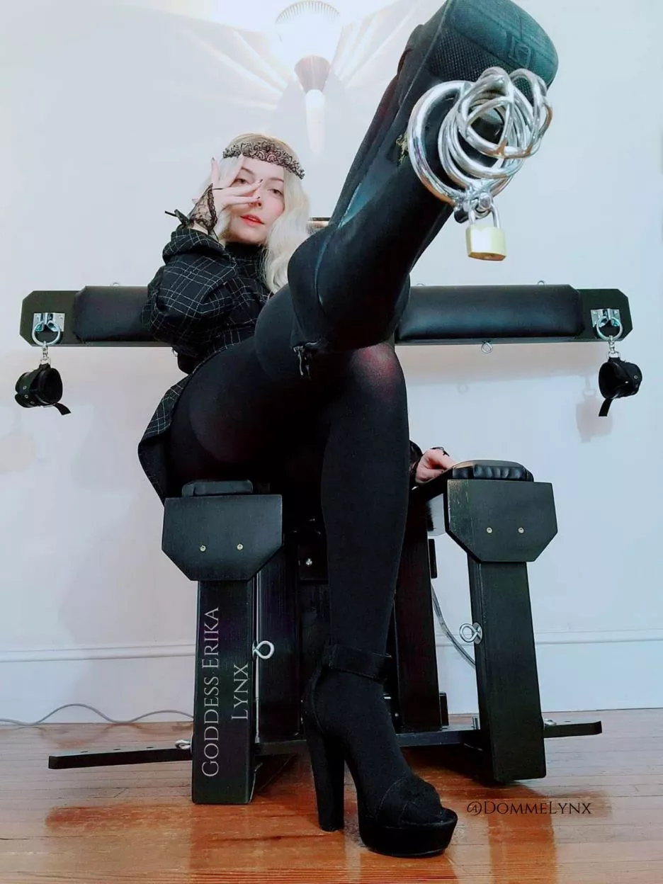 Happy Holidays, here's your gift. I'm sure it'll fit perfectly...