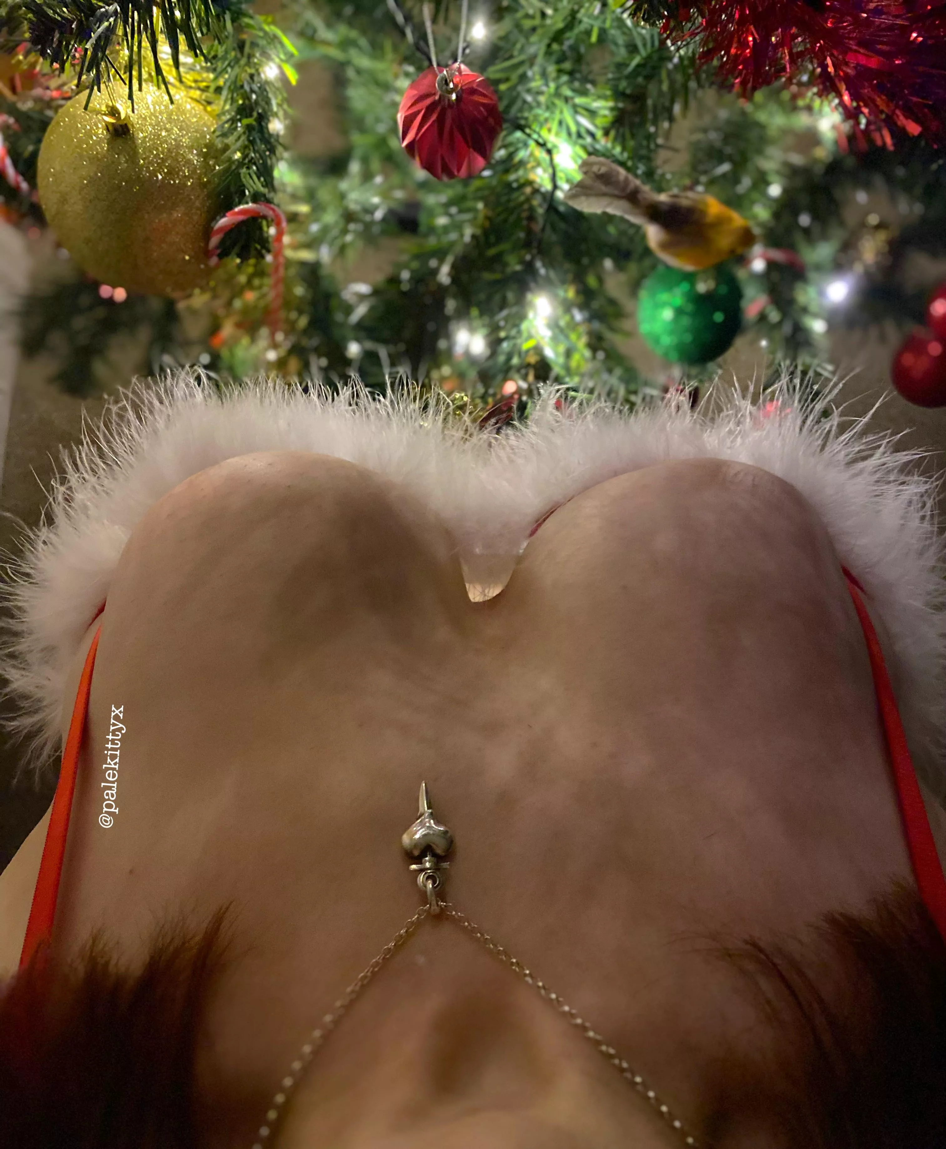 It’s beginning to look a lot like Christmas 🎅🏻👀