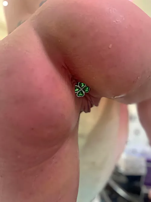 Make Me Your Anal Slut