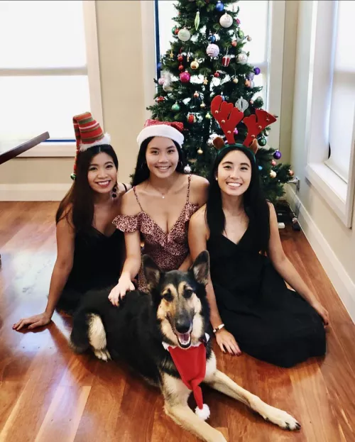 Merry Christmas 🎄