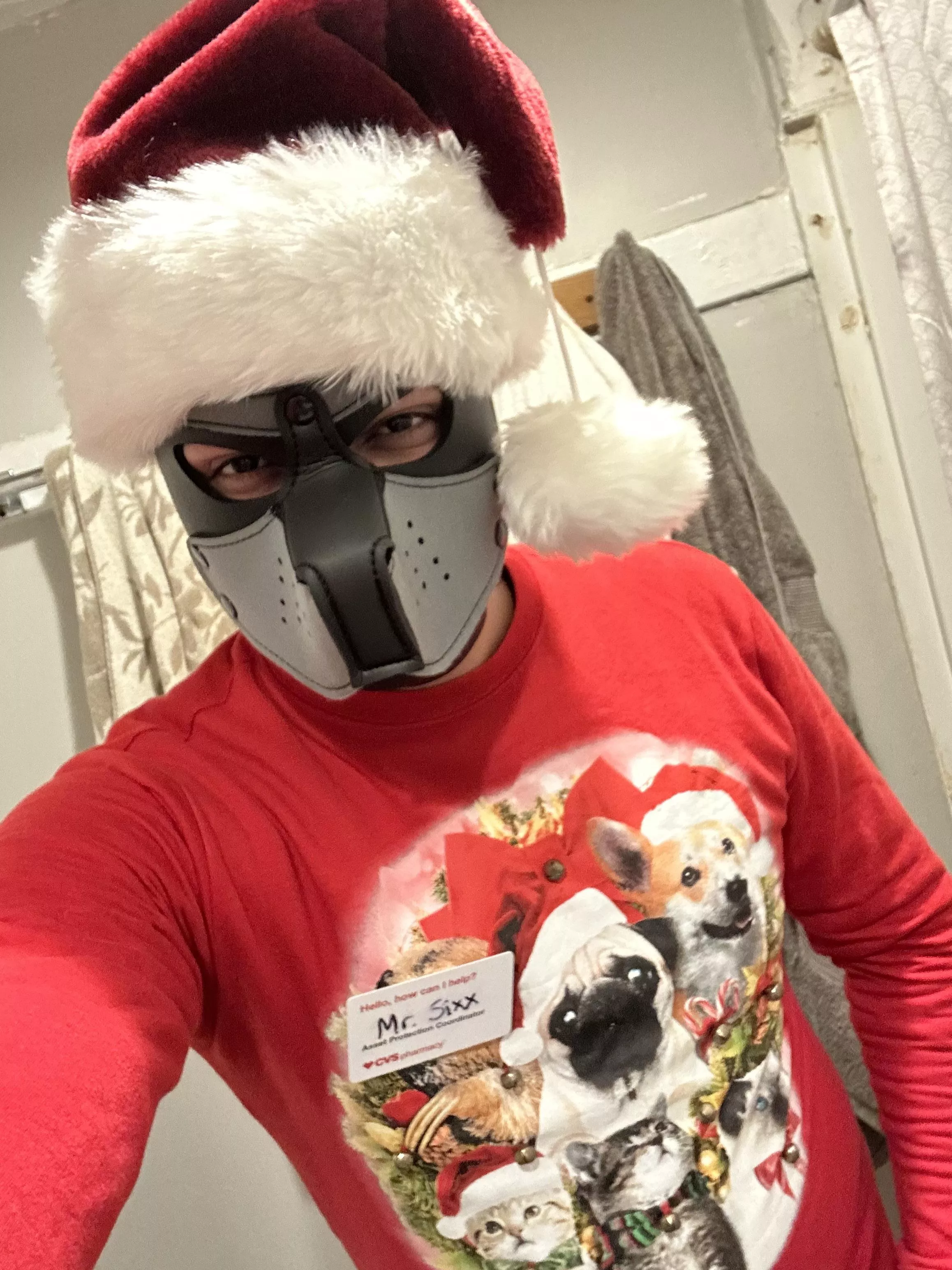 Merry Christmas, pups!