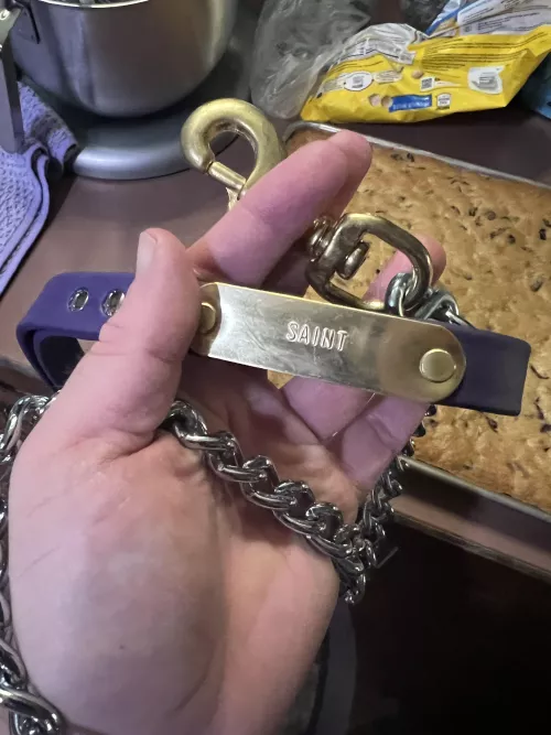 My new Handler leash